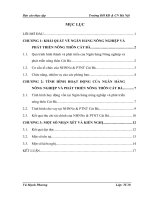 Báo cáo về hoạt động tại NHNNo & PTNT Cát Bà