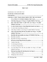 Phương hướng và giải pháp hạch toán hoạt động tiêu thụ sản phẩm của Công ty Cổ phần FEROLI Việt Nam