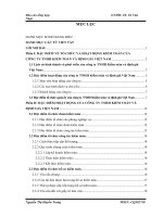 giải pháp đề xuất về tổ chức hoạt động của công ty TNHH Kiểm toán và định giá Việt Nam