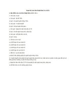 Soạn Câu trần thuật đơn có từ Là