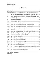 Giải pháp hạn chế rủi ro tín dụng tại ngân hàng Việt Nam Thịnh Vượng  chi nhánh Hà Nội