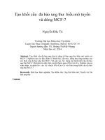 Tạo khối cầu đa bào ung thư biểu mô tuyến vú dòng MCF-7  tt