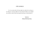 nâng cao năng lực cạnh tranh của công ty cổ phần thương mại Thiên Nam