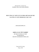 Phân tích các nhân tố tác động đến doanh thu tại công ty lốp YOKOHAMA Việt Nam