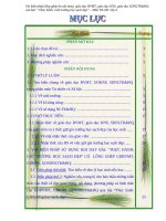 SKKN Vài biện pháp lồng ghép ba nội dung  giáo dục BVMT, giáo dục KNS, giáo dục Sử dụng năng lượng tiết kiệm và hiệu quả vào bài “Thực hành Giữ trường học sạch đẹp” – Môn TN-XH  lớp 2