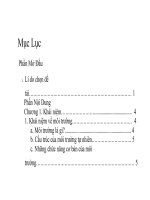 chủ đề môi trường và phát triển bền vững thành phố đà nẵng