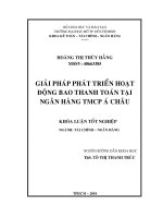 Giải pháp phát triển hoạt động bao thanh toán tại ngân hàng TMCP á châu