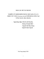 BÁO CÁO  ĐỀ TÀI NHÁNHNGHIÊN CỨU BỆNH ĐỐM TRẮNG NỘI TẠNG CỦA CÁ CHIM VÂY VÀNG (Trachinotus blochii) NUÔI BẰNG LỒNG TẠI VŨNG NGÁN, NHA T