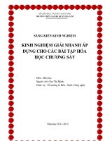 Sáng kiến kinh nghiệm - Kinh nghiệm giải nhanh áp dụng cho các bài tập hóa học chương sắt THPT CAO BÁ QUÁT
