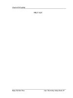 nâng cao hiệu quả sử dụng công cụ quyền chọn tại công ty cổ phần chứng khoán VNDIRECT