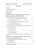 Hoàn thiện kế toán tiền lương và các khoản trích theo lương tại Công ty cổ phần Đôlômit Việt Nam