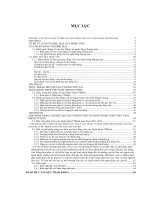 Giải pháp nâng cao hiệu quả hoạt động huy động vốn tại Ngân hàng TMCP Việt Nam Thịnh Vượng