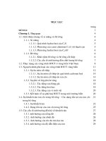 Ứng dụng mô hình tang Luping - Olofnilsson để khảo sát sự khuếch tán CI- trong bê tông và nghiên cứu ảnh hưởng của phụ gia đến quá trình này
