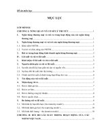 Vấn đề rủi ro lãi suất trong hoạt động của các NHTM Việt Nam  giai đoạn 2006-2010