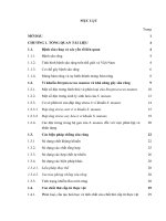 Nghiên cứu tác dụng của một số chất thứ cấp từ thực vật lên vi khuẩn gây sâu răng Streptococcus Mutans 