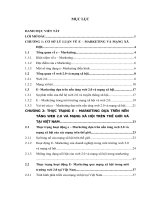 e – Marketing dựa trên nền tảng web 2.0 và mạng xã hội  thực trạng và giải pháp