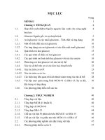 Nghiên cứu xúc tác platin, vàng mang trên vật liệu mao quản trung bình MCM-41, SBA-15 trong phản ứng oxi hóa glucozơ