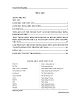 Giải pháp hạn chế rủi ro trong hoạt động  kinh doanh thẻ tại Ngân hàng TMCP Công Thương Việt Nam