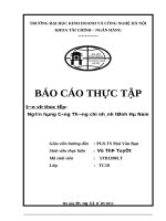 Báo cáo về Tình hình huy động vốn và hiệu quả huy động vốn tại chi nhánh Ngân hàng Công thương chi nhánh tỉnh Hà Nam