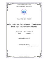 Phát triển nguồn nhân lực của Công ty TNHH Một thành viên Vinpearl