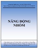 Năng động nhóm - Trung tâm Nghiên cứu Tư vấn CTXH & PTCĐ