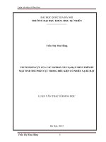 Vecto phân cực của các notron tán xạ hạt nhân trên bề mặt tinh thể phân cực trong điều kiện có nhiễu xạ bề mặt