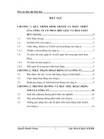 BÁO CÁO VỀ HOẠT ĐỘNG CỦA CÔNG TY CỔ PHẦN BỘT GIẶT VÀ HOÁ CHẤT ĐỨC GIANG