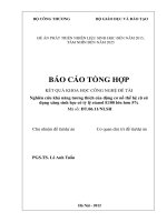 Báo cáo tổng hợp Nghiên cứu khả năng tương thích của động cơ nổ thế hệ cũ sử dụng xăng sinh học có tỷ lệ etanol E100 lớn hơn 5%