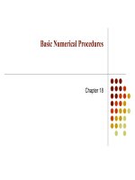 CH17 basic numerical procedures