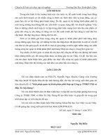 Giải pháp quản trị kênh phân phối thép tại Công ty TNHH XNK và Đầu Tư Xây Dựng