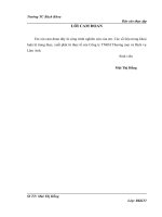 kế toán bán hàng và xác định kết quả kinh doanh của công ty TNHH Thương mại và Dịch vụ Lâm Anh