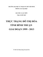 Thực trạng đô thị hóa tỉnh Bình Thuận giai đoạn 1999 - 2013