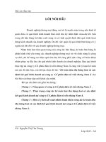 Kế toán tiêu thụ hàng hoá và xác định kết quả kinh doanh tại công ty  Cổ phần điện tử viễn thông Nam