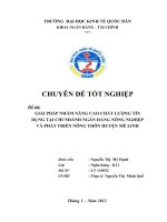 Giải pháp nâng cao chất lượng tín dụng tại chi nhánh ngân hàng  Nông nghiệp và phát triển nông thôn huyện Mê Linh
