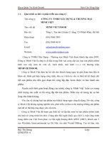 Báo cáo về kết quả hoạt động của công ty TNHH Xây Dựng - Thương mại Minh Việt