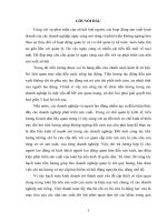 Kế toán tiền lương và bảo hiểm xã hội công ty dệt may đức thinh  hà nội