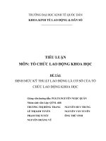 ĐỊNH MỨC KỸ THUẬT LAO ĐỘNG  CƠ SỞ CỦA TỔ CHỨC LAO ĐỘNG KHOA HỌC