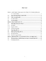 giải pháp nâng cao hiệu quả đầu tư của Công ty  cổ phần sông Đà 12