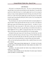 Báo cáo tổng hợp về đánh giá tổ chức hệ thống kế toán tại Công ty CP Kim Thành