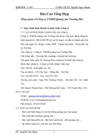 Báo cáo về Tổng quan về Công ty TNHH Quảng cáo Trường Hải