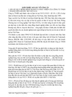 Kế toán phần hành Công ty TNHH một thành viên sở hữu trí tuệ VCCI