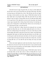 Kế toán phần hành Tổ chức công tác kế toán tại Công ty TNHH thiết bị điện Việt Mỹ