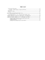 Quản trị tiền lương của công ty cổ phần Sông Hồng số 8