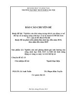 Chuyên đề 13 Nghiên cứu mô phỏng đánh giá ảnh hưởng của xăng sinh học E10, E15 và E20 tới tính năng động cơ xăng xe máy và ô tô thế hệ cũ