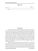 Lạm phát tiền tệ ở Việt Nam, thực trạng và giải pháp