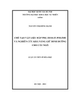 Chế tạo vật liệu hấp phụ zeolit - polime và nghiên cứu khả năng giữ dinh dưỡng cho cây ngô 