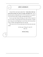 Hoàn thiện chiến lược phát triển thị trường của Công ty Cổ phần XNK Hưng Yên