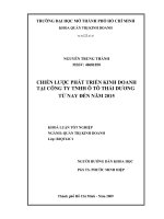 Chiến lược phát triển kinh doanh tại công ty TNHH ô tô thái dương từ nay đến năm 2015