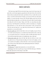 Kế toán mua bán hàng hóa và xác định kết quả kinh doanh tại xí nghiệp kinh doanh dịch vụ và sản xuất côn sơn