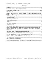 báo cáo thực tập tổng hợp khoa hệ thống thông tin tại Công ty cổ phần kiến trúc - nội thất Đồng Gia